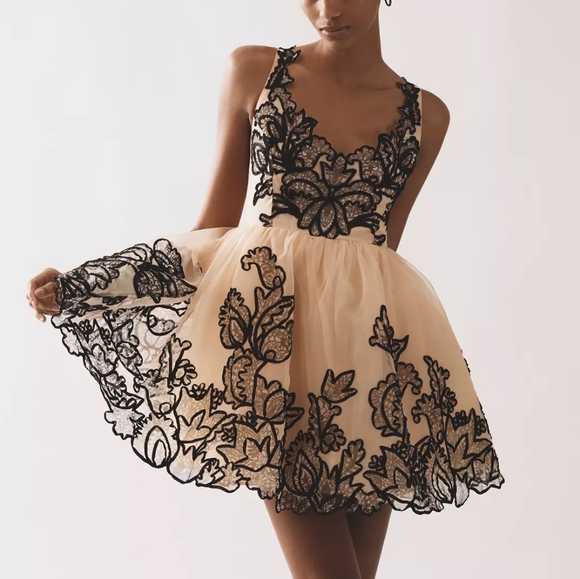 Anthropologie Dresses & Skirts - Anthropologie Maeve Sleeveless V-Neck Lace Fit & Flare Mini Dress